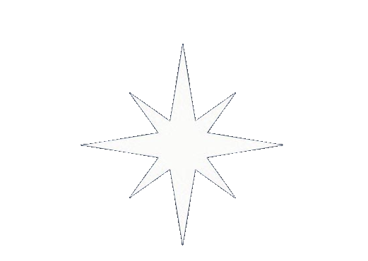 Polara Labs Logo